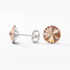 Mila Crystal Stud Earrings - Champagne - Seona