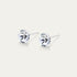 Aurora - Clear - 6mm White & Clear Color Crystal - Hypoallergenic Stainless Steel Stud Earring - Earrings - Aurora - Xirius - 6 - 001 - Crystal - Seona